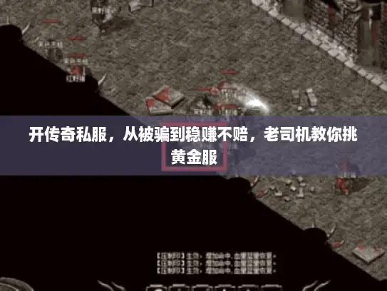 开传奇私服，从被骗到稳赚不赔，老司机教你挑黄金服