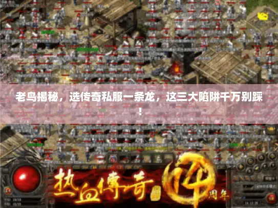 老鸟揭秘，选传奇私服一条龙，这三大陷阱千万别踩！