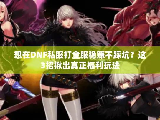 想在DNF私服打金服稳赚不踩坑？这3招揪出真正福利玩法