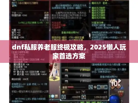 dnf私服养老服终极攻略，2025懒人玩家首选方案