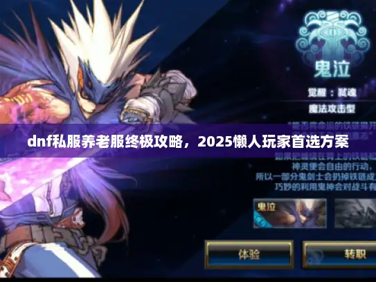 dnf私服养老服终极攻略，2025懒人玩家首选方案