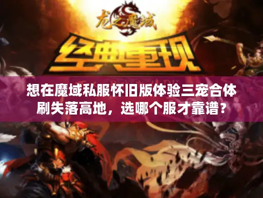 想在魔域私服怀旧版体验三宠合体刷失落高地，选哪个服才靠谱？