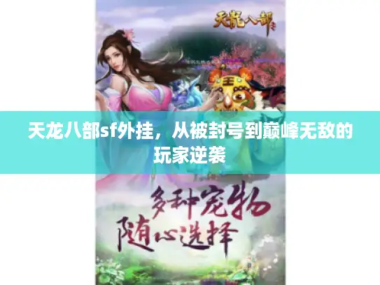 天龙八部sf外挂，从被封号到巅峰无敌的玩家逆袭