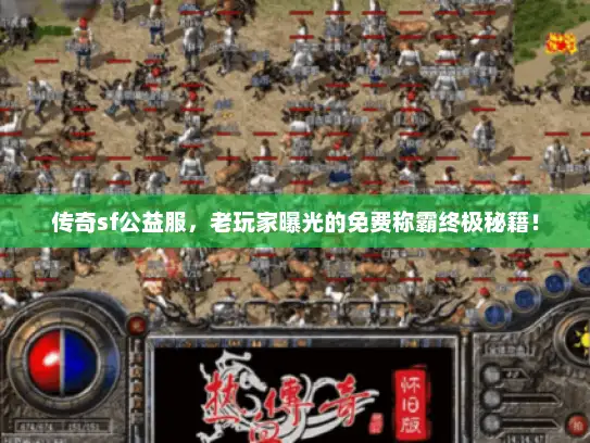 传奇sf公益服，老玩家曝光的免费称霸终极秘籍！