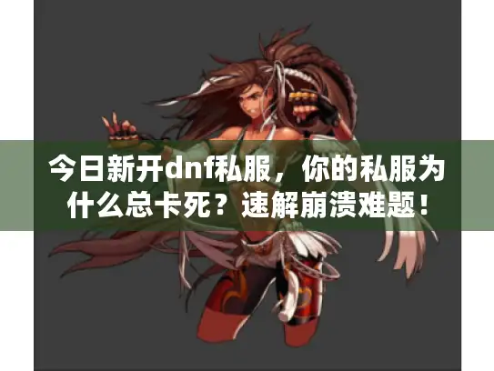今日新开dnf私服，你的私服为什么总卡死？速解崩溃难题！