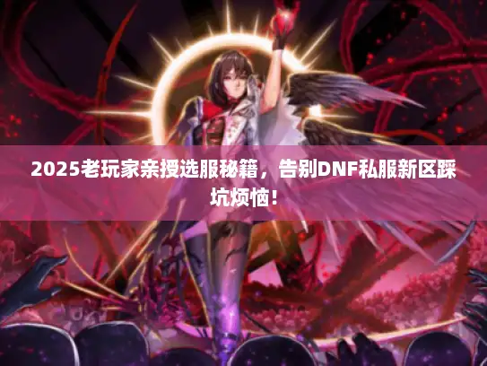 2025老玩家亲授选服秘籍，告别DNF私服新区踩坑烦恼！