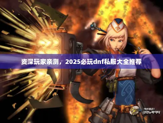 资深玩家亲测，2025必玩dnf私服大全推荐