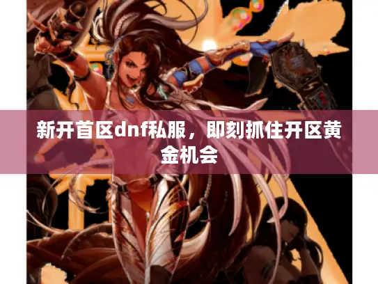 新开首区dnf私服，即刻抓住开区黄金机会