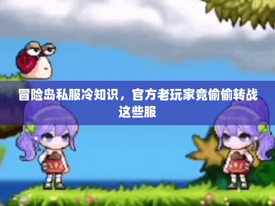 冒险岛私服冷知识，官方老玩家竟偷偷转战这些服