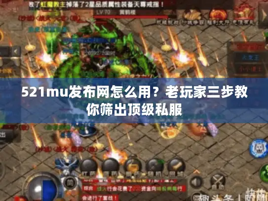 521mu发布网怎么用？老玩家三步教你筛出顶级私服