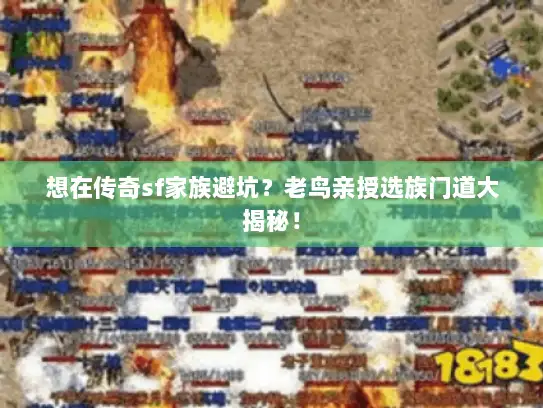 想在传奇sf家族避坑？老鸟亲授选族门道大揭秘！