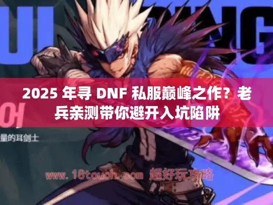 2025 年寻 DNF 私服巅峰之作？老兵亲测带你避开入坑陷阱