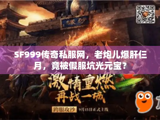 SF999传奇私服网，老炮儿爆肝仨月，竟被假服坑光元宝？