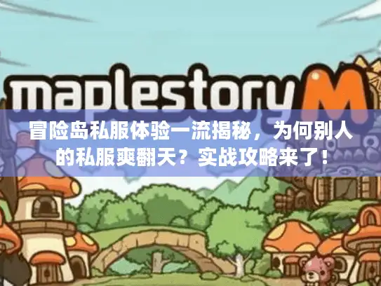 冒险岛私服体验一流揭秘，为何别人的私服爽翻天？实战攻略来了！