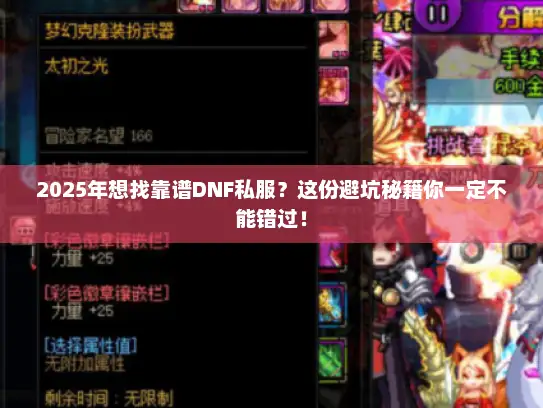 2025年想找靠谱DNF私服？这份避坑秘籍你一定不能错过！