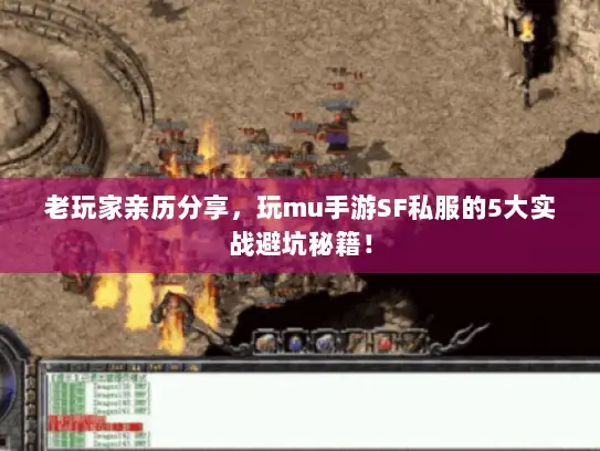 老玩家亲历分享，玩mu手游SF私服的5大实战避坑秘籍！