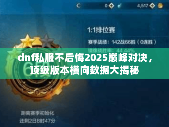 dnf私服不后悔2025巅峰对决，顶级版本横向数据大揭秘