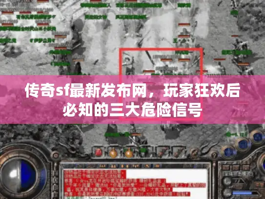 传奇sf最新发布网，玩家狂欢后必知的三大危险信号