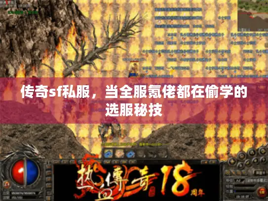 传奇sf私服，当全服氪佬都在偷学的选服秘技