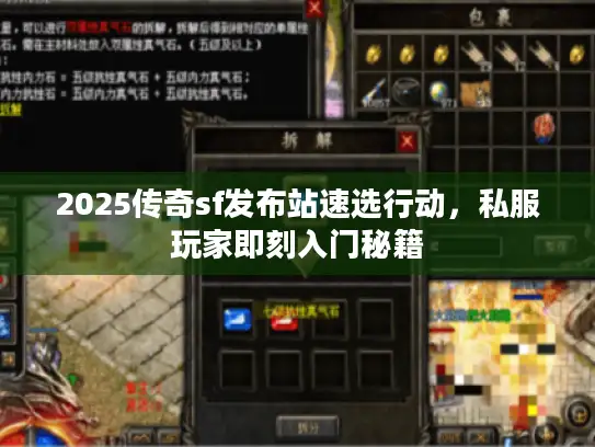 2025传奇sf发布站速选行动，私服玩家即刻入门秘籍