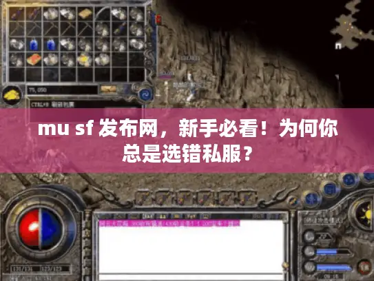 mu sf 发布网，新手必看！为何你总是选错私服？