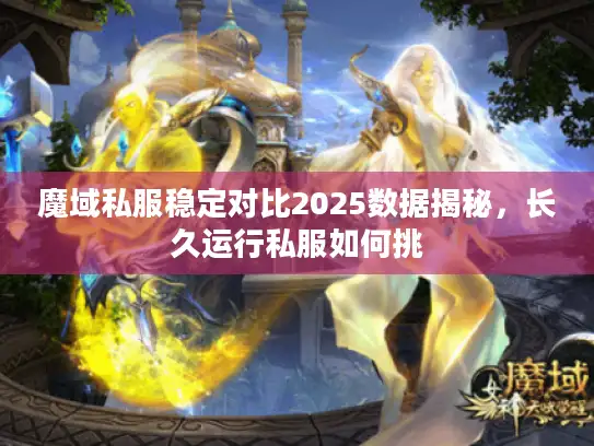 魔域私服稳定对比2025数据揭秘，长久运行私服如何挑