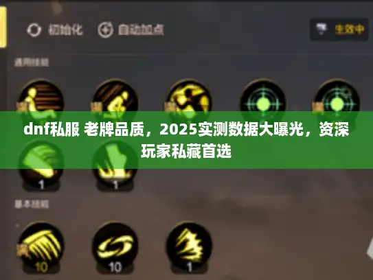 dnf私服 老牌品质，2025实测数据大曝光，资深玩家私藏首选