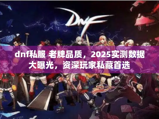 dnf私服 老牌品质，2025实测数据大曝光，资深玩家私藏首选