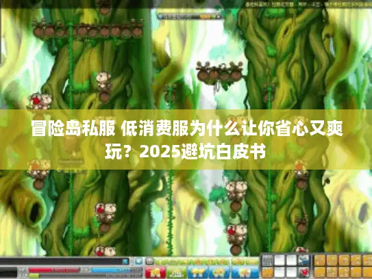 冒险岛私服 低消费服为什么让你省心又爽玩？2025避坑白皮书