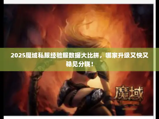 2025魔域私服经验服数据大比拼，哪家升级又快又稳见分晓！