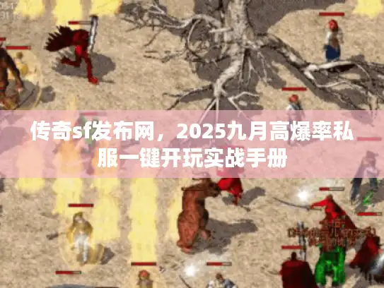 传奇sf发布网，2025九月高爆率私服一键开玩实战手册