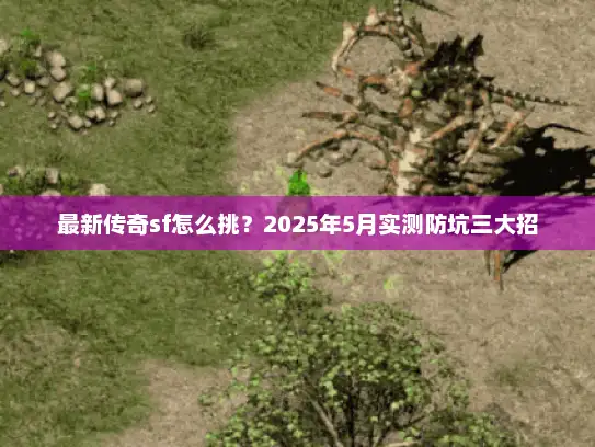 最新传奇sf怎么挑?2025年5月实测防坑三大招 最新传奇sf怎么挑?2025年5月实测防坑三大招