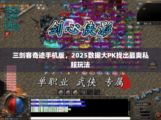 三剑客奇迹手机版，2025数据大PK找出最爽私服玩法