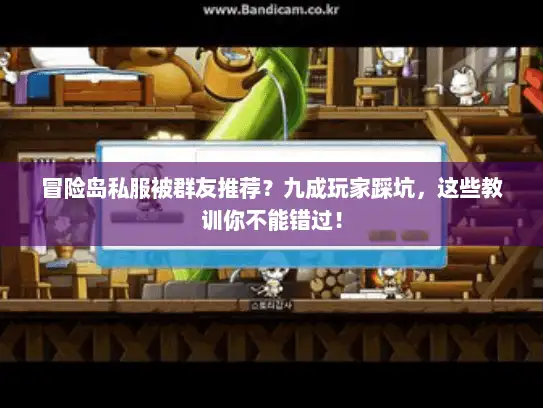 冒险岛私服被群友推荐？九成玩家踩坑，这些教训你不能错过！