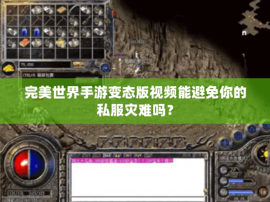 完美世界手游变态版视频能避免你的私服灾难吗？