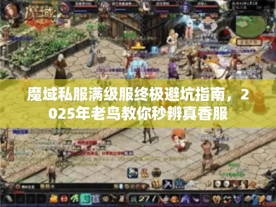 魔域私服满级服终极避坑指南，2025年老鸟教你秒辨真香服