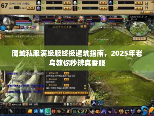 魔域私服满级服终极避坑指南，2025年老鸟教你秒辨真香服