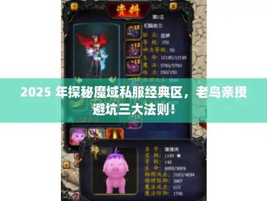 2025 年探秘魔域私服经典区，老鸟亲授避坑三大法则！