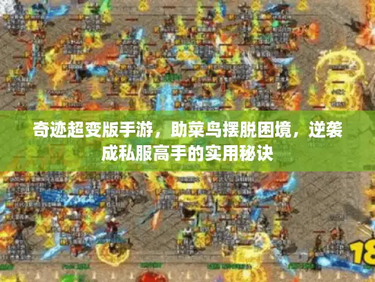 奇迹超变版手游，助菜鸟摆脱困境，逆袭成私服高手的实用秘诀