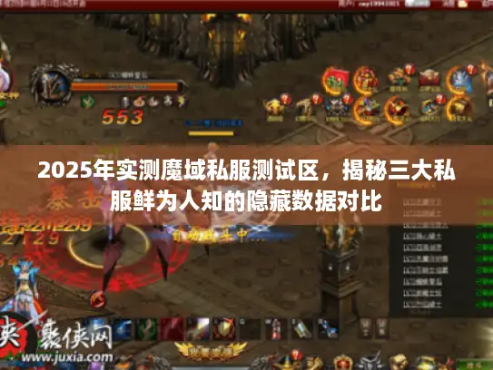 2025年实测魔域私服测试区，揭秘三大私服鲜为人知的隐藏数据对比