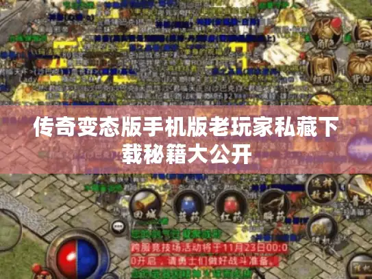 传奇变态版手机版老玩家私藏下载秘籍大公开