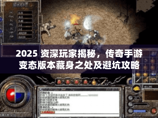 2025 资深玩家揭秘，传奇手游变态版本藏身之处及避坑攻略
