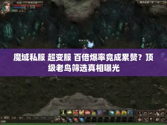 魔域私服 超变服 百倍爆率竟成累赘？顶级老鸟筛选真相曝光