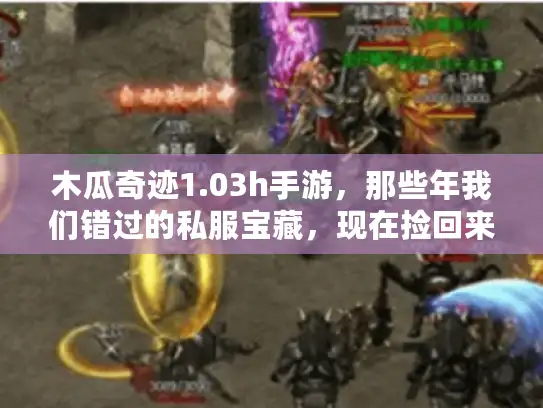 木瓜奇迹1.03h手游，那些年我们错过的私服宝藏，现在捡回来了！