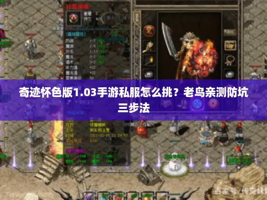 奇迹怀色版1.03手游私服怎么挑？老鸟亲测防坑三步法