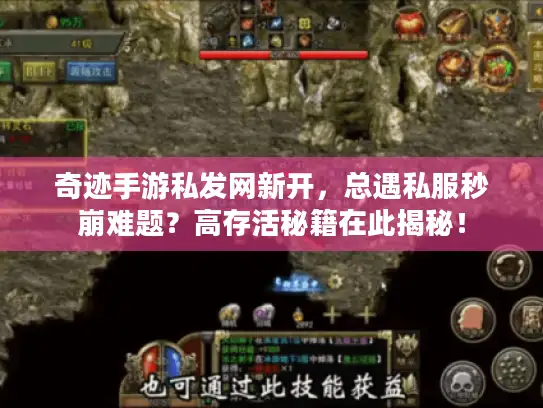 奇迹手游私发网新开，总遇私服秒崩难题？高存活秘籍在此揭秘！