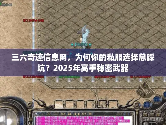 三六奇迹信息网，为何你的私服选择总踩坑？2025年高手秘密武器