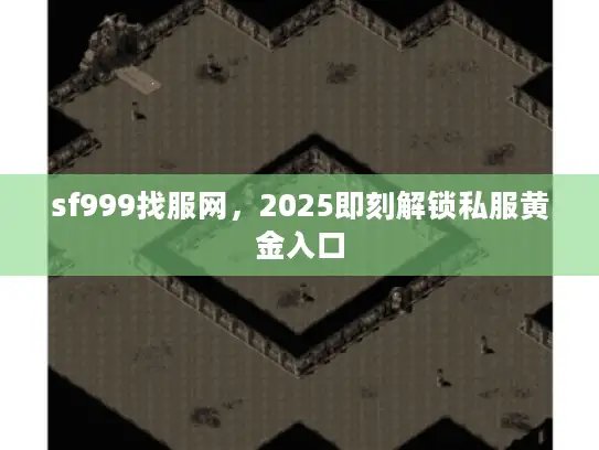 sf999找服网，2025即刻解锁私服黄金入口