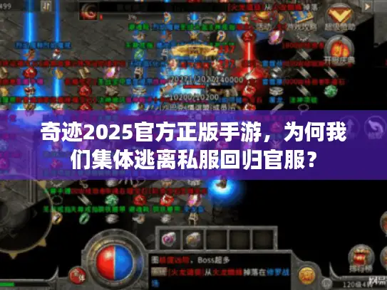 奇迹2025官方正版手游，为何我们集体逃离私服回归官服？
