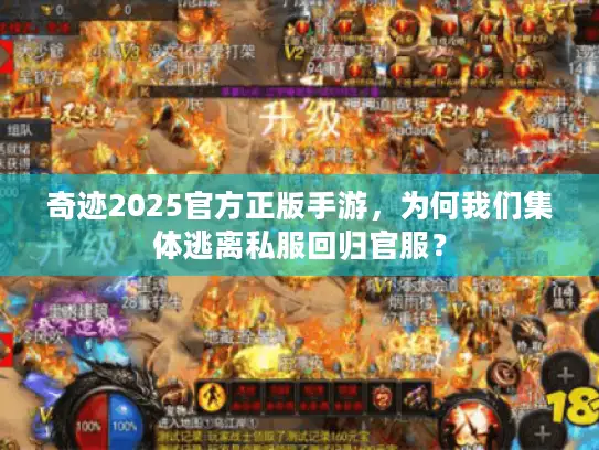 奇迹2025官方正版手游，为何我们集体逃离私服回归官服？